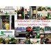 Pembangkit Listrik Tenaga Biogas PLTBg 6-31616